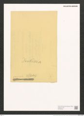 Donkinia carinata (Donk.) Ralfs (de-Toni-Nr.: Genus 17, Species 1146) Zeichnungen Sammlung Grunow (NHMW-BOT-W0369335)